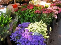 Nice flower market in Nice's Old Town on the Cote D'Azur