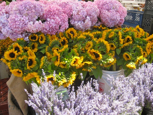 Sunflowers, hydrangeas and lavenders at the Ferry Building Farmers Market