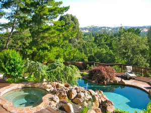 Pool and spa in garden in Danville